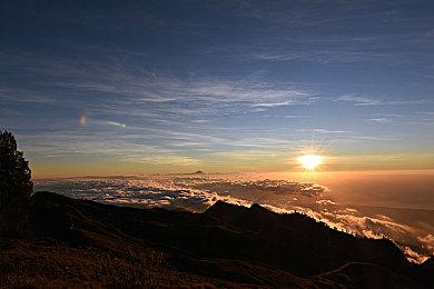 《伊泰恩：魔法幸存者》登陆Steam 吸幸类型生存射击